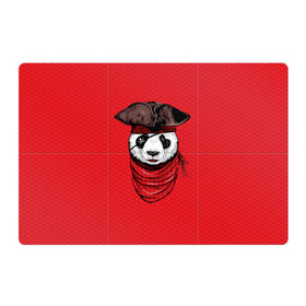 Магнитный плакат 3Х2 с принтом Панда пират в Курске, Полимерный материал с магнитным слоем | 6 деталей размером 9*9 см | animal | bay | bear | beast | captain | panda | pirate | бухта | зверь | капитан | корабль | медведь | панда | пират