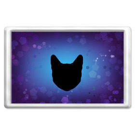 Магнит 45*70 с принтом Силуэт черной кошки в Курске, Пластик | Размер: 78*52 мм; Размер печати: 70*45 | кошка | силуэт | синий | фиолетовый | черный