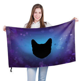 Флаг 3D с принтом Силуэт черной кошки в Курске, 100% полиэстер | плотность ткани — 95 г/м2, размер — 67 х 109 см. Принт наносится с одной стороны | кошка | силуэт | синий | фиолетовый | черный