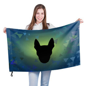 Флаг 3D с принтом силуэт Бультерьера в Курске, 100% полиэстер | плотность ткани — 95 г/м2, размер — 67 х 109 см. Принт наносится с одной стороны | зеленый | силуэт | синий | собака | черный