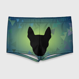 Мужские купальные плавки 3D с принтом силуэт Бультерьера в Курске, Полиэстер 85%, Спандекс 15% |  | Тематика изображения на принте: зеленый | силуэт | синий | собака | черный