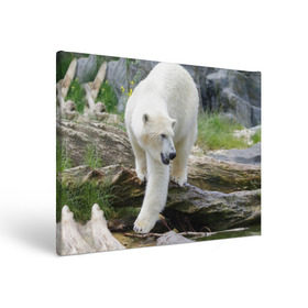 Холст прямоугольный с принтом Белый медведь в Курске, 100% ПВХ |  | арктика