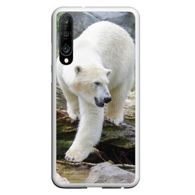 Чехол для Honor P30 с принтом Белый медведь в Курске, Силикон | Область печати: задняя сторона чехла, без боковых панелей | арктика