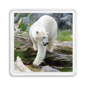 Магнит 55*55 с принтом Белый медведь в Курске, Пластик | Размер: 65*65 мм; Размер печати: 55*55 мм | арктика