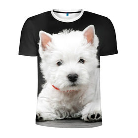 Мужская футболка 3D спортивная с принтом Вест-хайленд-уайт-терьер в Курске, 100% полиэстер с улучшенными характеристиками | приталенный силуэт, круглая горловина, широкие плечи, сужается к линии бедра | Тематика изображения на принте: вест хайленд уайт терьер | животное | порода | собака