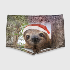 Мужские купальные плавки 3D с принтом Рождественский ленивец в Курске, Полиэстер 85%, Спандекс 15% |  | джунгли | животное | ленивый | лень | новый год | рождество | снег | снежинки | тропики | улыбка | шапка