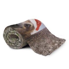 Плед 3D с принтом Рождественский ленивец в Курске, 100% полиэстер | закругленные углы, все края обработаны. Ткань не мнется и не растягивается | джунгли | животное | ленивый | лень | новый год | рождество | снег | снежинки | тропики | улыбка | шапка