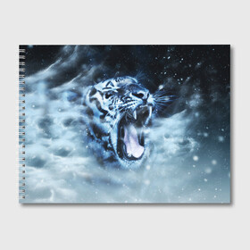 Альбом для рисования с принтом Белый тигр в Курске, 100% бумага
 | матовая бумага, плотность 200 мг. | Тематика изображения на принте: зима | клыки | метель | пасть | снег | тигр | хищник