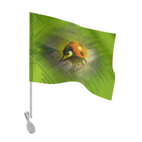 Флаг для автомобиля с принтом Божья коровка в Курске, 100% полиэстер | Размер: 30*21 см | божья коробка | букашка | жук | природа
