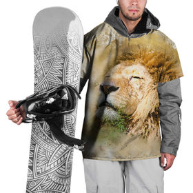 Накидка на куртку 3D с принтом Лев в Курске, 100% полиэстер |  | зверь | лев | тигр | хищник