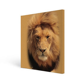 Холст квадратный с принтом Лев в Курске, 100% ПВХ |  | животные | кошка | лев | тигр | хищник