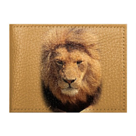 Обложка для студенческого билета с принтом Лев в Курске, натуральная кожа | Размер: 11*8 см; Печать на всей внешней стороне | животные | кошка | лев | тигр | хищник