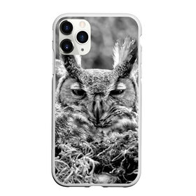 Чехол для iPhone 11 Pro матовый с принтом Филин в Курске, Силикон |  | bird | nest | night | nocturnal | owl | predator | гнездо | ночной | птица | сова | филин | хищник