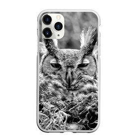 Чехол для iPhone 11 Pro Max матовый с принтом Филин в Курске, Силикон |  | bird | nest | night | nocturnal | owl | predator | гнездо | ночной | птица | сова | филин | хищник