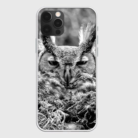 Чехол для iPhone 12 Pro Max с принтом Филин в Курске, Силикон |  | bird | nest | night | nocturnal | owl | predator | гнездо | ночной | птица | сова | филин | хищник