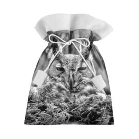 Подарочный 3D мешок с принтом Филин в Курске, 100% полиэстер | Размер: 29*39 см | bird | nest | night | nocturnal | owl | predator | гнездо | ночной | птица | сова | филин | хищник