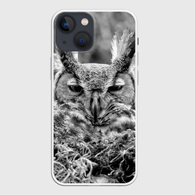 Чехол для iPhone 13 mini с принтом Филин в Курске,  |  | bird | nest | night | nocturnal | owl | predator | гнездо | ночной | птица | сова | филин | хищник