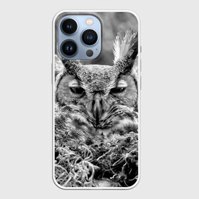 Чехол для iPhone 13 Pro с принтом Филин в Курске,  |  | bird | nest | night | nocturnal | owl | predator | гнездо | ночной | птица | сова | филин | хищник