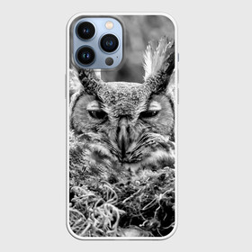 Чехол для iPhone 13 Pro Max с принтом Филин в Курске,  |  | bird | nest | night | nocturnal | owl | predator | гнездо | ночной | птица | сова | филин | хищник