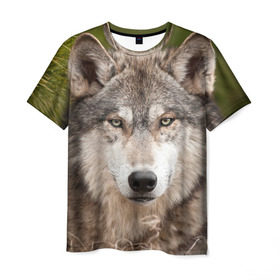 Мужская футболка 3D с принтом Волк в Курске, 100% полиэфир | прямой крой, круглый вырез горловины, длина до линии бедер | Тематика изображения на принте: animal | eyes | forest | predator | wild | wolf | взгляд | волк | дикий | животное | зверь | лес | хищник