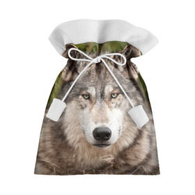 Подарочный 3D мешок с принтом Волк в Курске, 100% полиэстер | Размер: 29*39 см | Тематика изображения на принте: animal | eyes | forest | predator | wild | wolf | взгляд | волк | дикий | животное | зверь | лес | хищник