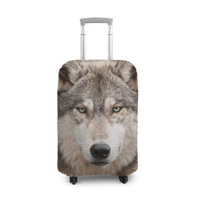 Чехол для чемодана 3D с принтом Волк в Курске, 86% полиэфир, 14% спандекс | двустороннее нанесение принта, прорези для ручек и колес | animal | eyes | forest | predator | wild | wolf | взгляд | волк | дикий | животное | зверь | лес | хищник