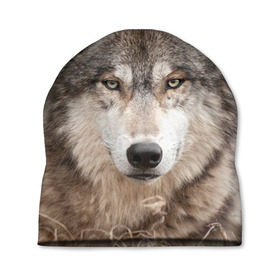 Шапка 3D с принтом Волк в Курске, 100% полиэстер | универсальный размер, печать по всей поверхности изделия | animal | eyes | forest | predator | wild | wolf | взгляд | волк | дикий | животное | зверь | лес | хищник