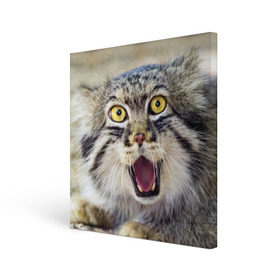 Холст квадратный с принтом Дикий кот в Курске, 100% ПВХ |  | animal | cat | eyes | jaws | predator | teeth | wild | взгляд | дикий | животное | клыки | кот | пасть | хищник