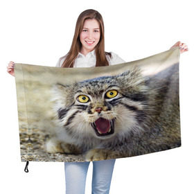 Флаг 3D с принтом Дикий кот в Курске, 100% полиэстер | плотность ткани — 95 г/м2, размер — 67 х 109 см. Принт наносится с одной стороны | animal | cat | eyes | jaws | predator | teeth | wild | взгляд | дикий | животное | клыки | кот | пасть | хищник