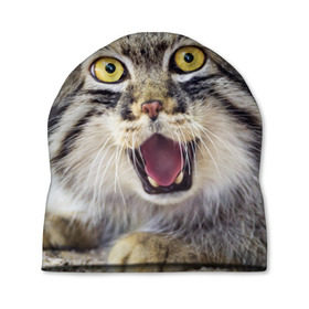 Шапка 3D с принтом Дикий кот в Курске, 100% полиэстер | универсальный размер, печать по всей поверхности изделия | animal | cat | eyes | jaws | predator | teeth | wild | взгляд | дикий | животное | клыки | кот | пасть | хищник