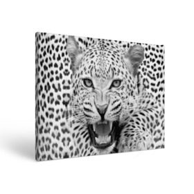 Холст прямоугольный с принтом Леопард в Курске, 100% ПВХ |  | Тематика изображения на принте: animal | eyes | jaws | leopard | malicious | predator | spotted | teeth | wild | взгляд | дикий | животное | злой | клыки | леопард | оскал | пасть | пятнистый | хищник