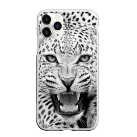 Чехол для iPhone 11 Pro матовый с принтом Леопард в Курске, Силикон |  | animal | eyes | jaws | leopard | malicious | predator | spotted | teeth | wild | взгляд | дикий | животное | злой | клыки | леопард | оскал | пасть | пятнистый | хищник