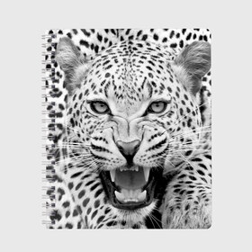 Тетрадь с принтом Леопард в Курске, 100% бумага | 48 листов, плотность листов — 60 г/м2, плотность картонной обложки — 250 г/м2. Листы скреплены сбоку удобной пружинной спиралью. Уголки страниц и обложки скругленные. Цвет линий — светло-серый
 | animal | eyes | jaws | leopard | malicious | predator | spotted | teeth | wild | взгляд | дикий | животное | злой | клыки | леопард | оскал | пасть | пятнистый | хищник