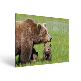 Холст прямоугольный с принтом Медведи в Курске, 100% ПВХ |  | animals | bears | children | family | green | meadow | mother | predators | дети | животные | зеленая | мама | медведи | поляна | семья | хищники