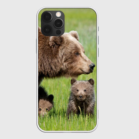 Чехол для iPhone 12 Pro Max с принтом Медведи в Курске, Силикон |  | animals | bears | children | family | green | meadow | mother | predators | дети | животные | зеленая | мама | медведи | поляна | семья | хищники