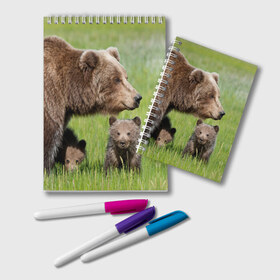 Блокнот с принтом Медведи в Курске, 100% бумага | 48 листов, плотность листов — 60 г/м2, плотность картонной обложки — 250 г/м2. Листы скреплены удобной пружинной спиралью. Цвет линий — светло-серый
 | animals | bears | children | family | green | meadow | mother | predators | дети | животные | зеленая | мама | медведи | поляна | семья | хищники