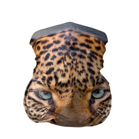 Бандана-труба 3D с принтом Леопард в Курске, 100% полиэстер, ткань с особыми свойствами — Activecool | плотность 150‒180 г/м2; хорошо тянется, но сохраняет форму | animal | leopard | look | predator | spotted | wild | взгляд | дикий | животное | леопард | пятнистый | хищник