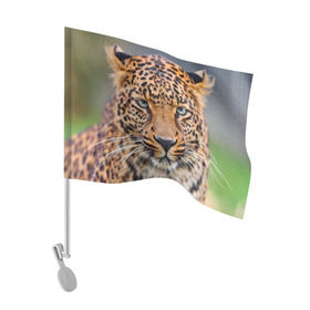 Флаг для автомобиля с принтом Леопард в Курске, 100% полиэстер | Размер: 30*21 см | animal | leopard | look | predator | spotted | wild | взгляд | дикий | животное | леопард | пятнистый | хищник