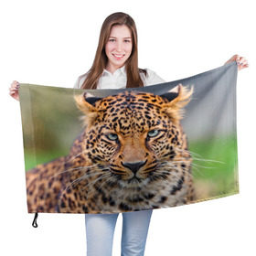 Флаг 3D с принтом Леопард в Курске, 100% полиэстер | плотность ткани — 95 г/м2, размер — 67 х 109 см. Принт наносится с одной стороны | animal | leopard | look | predator | spotted | wild | взгляд | дикий | животное | леопард | пятнистый | хищник