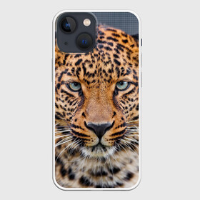 Чехол для iPhone 13 mini с принтом Леопард в Курске,  |  | animal | leopard | look | predator | spotted | wild | взгляд | дикий | животное | леопард | пятнистый | хищник