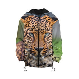 Детская куртка 3D с принтом Леопард в Курске, 100% полиэстер | застежка — молния, подол и капюшон оформлены резинкой с фиксаторами, по бокам — два кармана без застежек, один потайной карман на груди, плотность верхнего слоя — 90 г/м2; плотность флисового подклада — 260 г/м2 | Тематика изображения на принте: animal | leopard | look | predator | spotted | wild | взгляд | дикий | животное | леопард | пятнистый | хищник