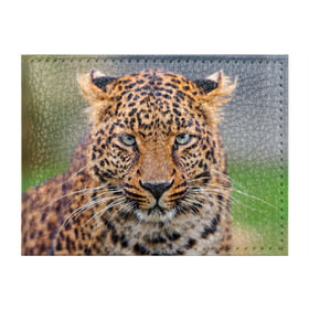 Обложка для студенческого билета с принтом Леопард в Курске, натуральная кожа | Размер: 11*8 см; Печать на всей внешней стороне | animal | leopard | look | predator | spotted | wild | взгляд | дикий | животное | леопард | пятнистый | хищник