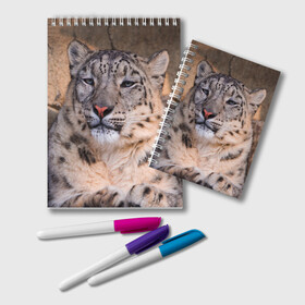 Блокнот с принтом Леопард в Курске, 100% бумага | 48 листов, плотность листов — 60 г/м2, плотность картонной обложки — 250 г/м2. Листы скреплены удобной пружинной спиралью. Цвет линий — светло-серый
 | Тематика изображения на принте: animal | leopard | look | predator | spotted | wild | взгляд | дикий | животное | леопард | пятнистый | хищник