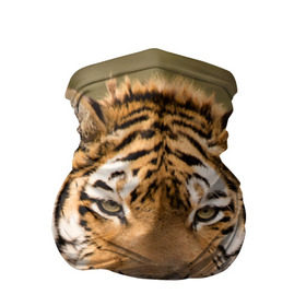 Бандана-труба 3D с принтом Тигр в Курске, 100% полиэстер, ткань с особыми свойствами — Activecool | плотность 150‒180 г/м2; хорошо тянется, но сохраняет форму | animal | predator | striped | tiger | view | wild | взгляд | дикий | животное | полосатый | тигр | хищник
