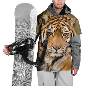Накидка на куртку 3D с принтом Тигр в Курске, 100% полиэстер |  | animal | predator | striped | tiger | view | wild | взгляд | дикий | животное | полосатый | тигр | хищник