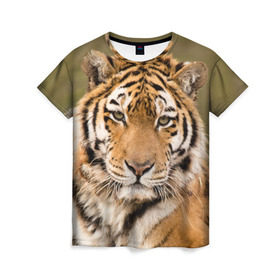 Женская футболка 3D с принтом Тигр в Курске, 100% полиэфир ( синтетическое хлопкоподобное полотно) | прямой крой, круглый вырез горловины, длина до линии бедер | animal | predator | striped | tiger | view | wild | взгляд | дикий | животное | полосатый | тигр | хищник