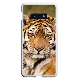 Чехол для Samsung S10E с принтом Тигр в Курске, Силикон | Область печати: задняя сторона чехла, без боковых панелей | animal | predator | striped | tiger | view | wild | взгляд | дикий | животное | полосатый | тигр | хищник