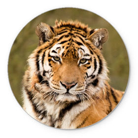 Коврик круглый с принтом Тигр в Курске, резина и полиэстер | круглая форма, изображение наносится на всю лицевую часть | animal | predator | striped | tiger | view | wild | взгляд | дикий | животное | полосатый | тигр | хищник