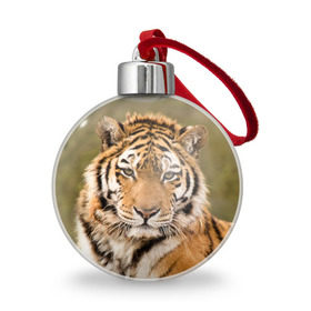 Ёлочный шар с принтом Тигр в Курске, Пластик | Диаметр: 77 мм | animal | predator | striped | tiger | view | wild | взгляд | дикий | животное | полосатый | тигр | хищник