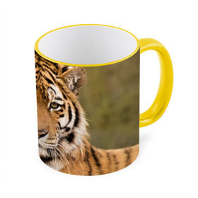 Кружка 3D с принтом Тигр в Курске, керамика | ёмкость 330 мл | animal | predator | striped | tiger | view | wild | взгляд | дикий | животное | полосатый | тигр | хищник